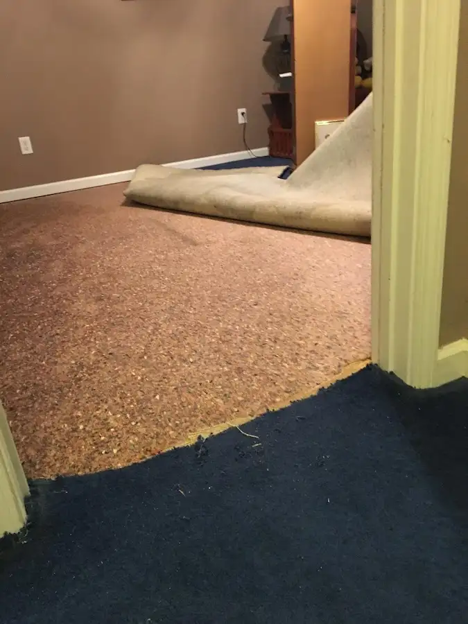 Carpet pad removal revealing water damage during Drying & Dehumidification in Brookline