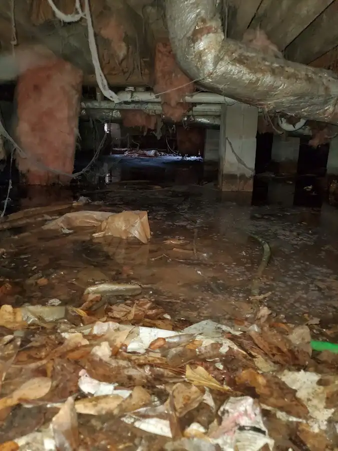 Crawl space flood assessment for Leak Detection & Repair in Brookline