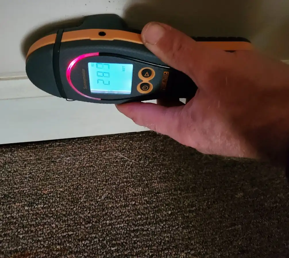 Moisture detection at baseboard during Sewage Cleanup & Sanitation in Brookline
